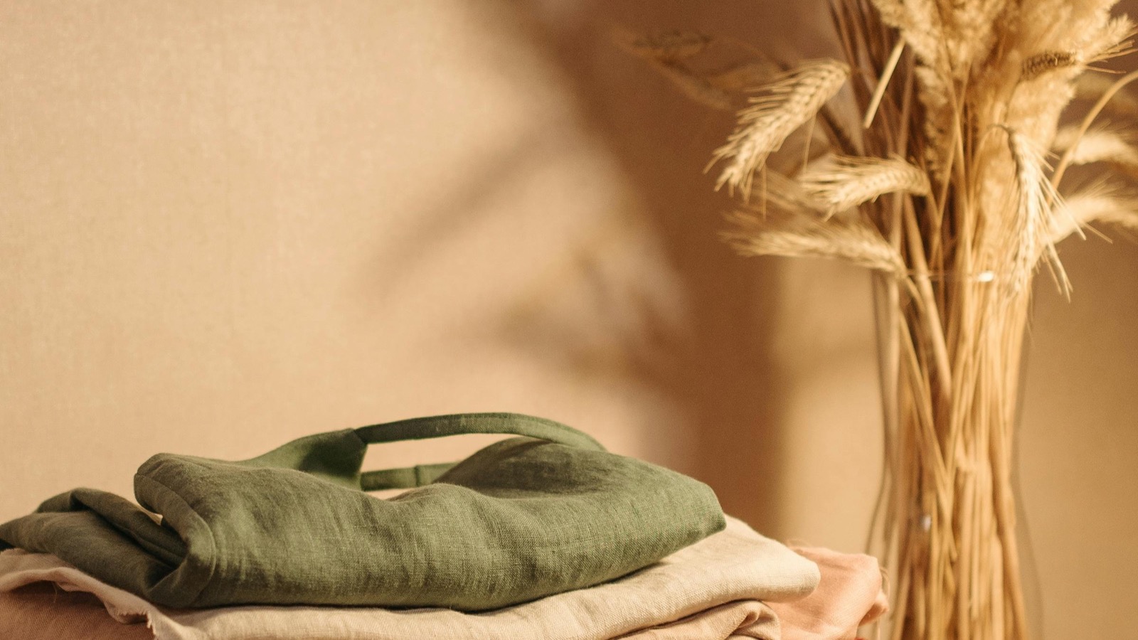 Free Tide Evo Sample and Tide Rewards Sign-Up